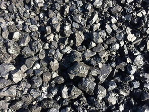 茂名塊煤市場概況與水產(chǎn)品供應的區(qū)域經(jīng)濟關聯(lián)